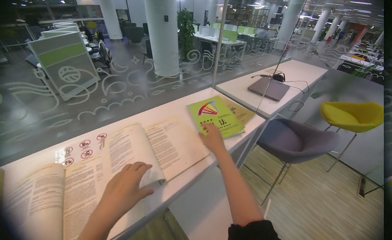 Egocentric first-person capture frame used for annotation